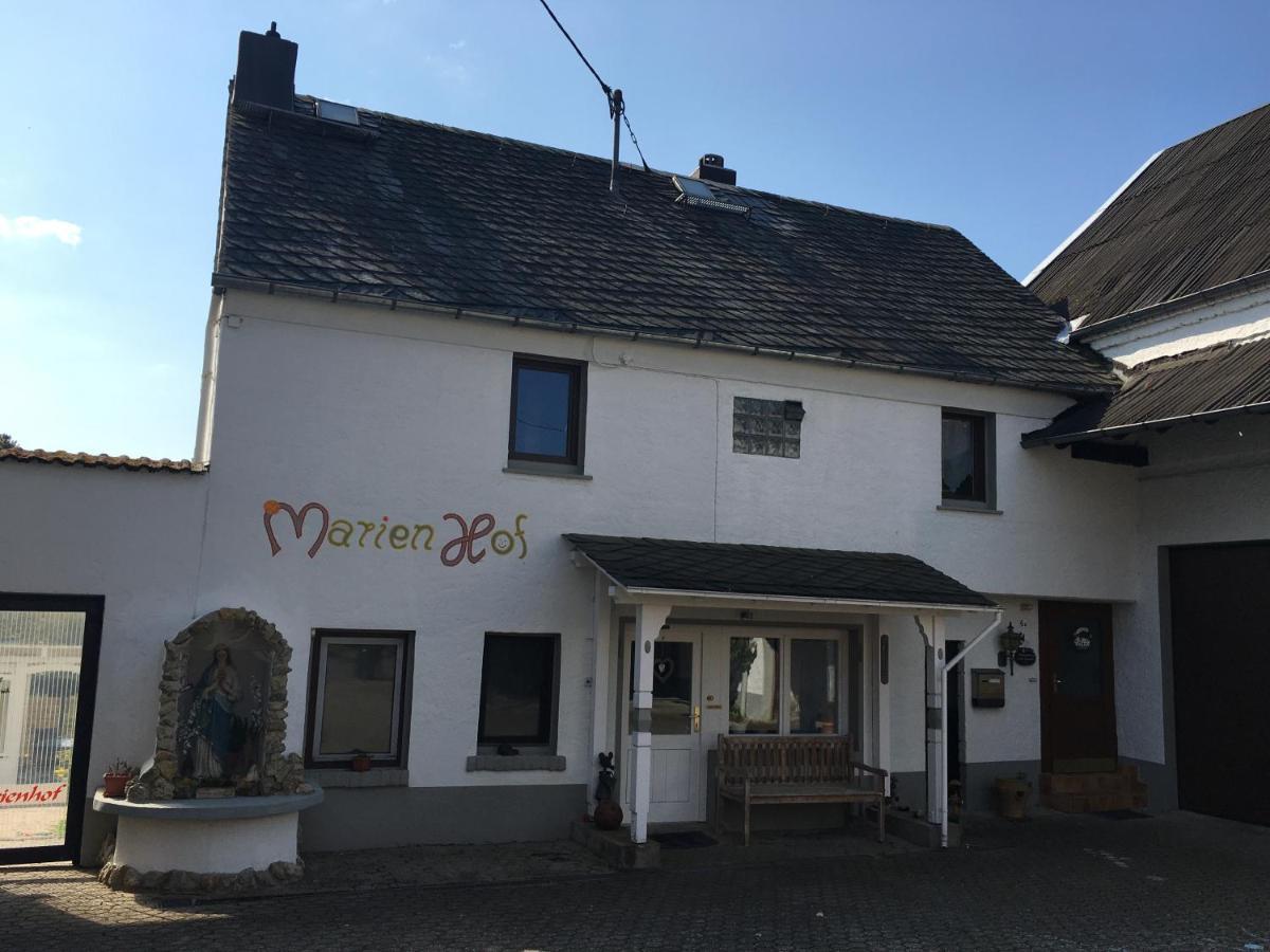 Ferienwohnung Marienhof Erdgeschoss Seelbach  Εξωτερικό φωτογραφία