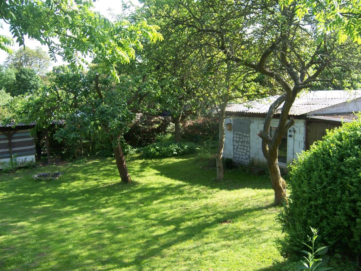Ferienwohnung Marienhof Erdgeschoss Seelbach  Εξωτερικό φωτογραφία